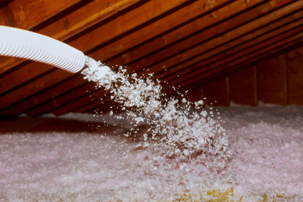 Best Fiberglass Insulation in Salida, CA