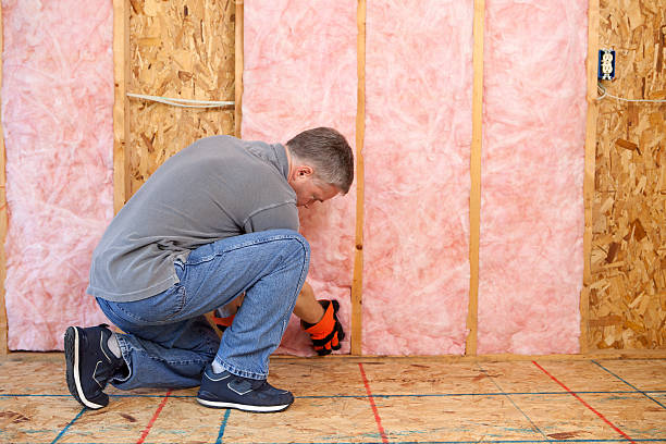 Types of Insulation We Offer in Salida, CA