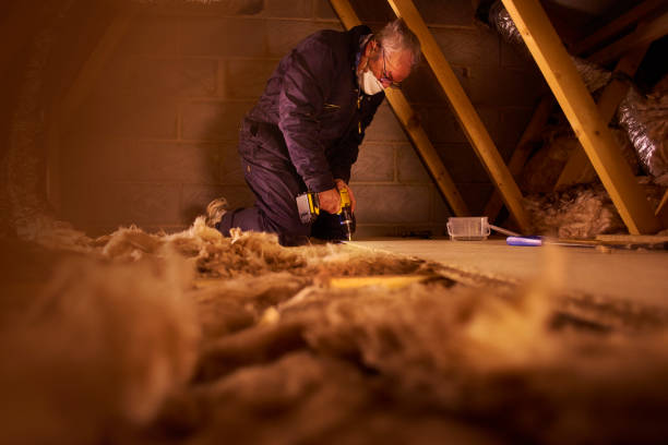 Best Eco-Friendly Insulation in Salida, CA