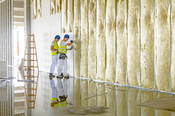 Best Blown-in Insulation in Salida, CA